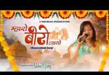 म्हारो बीरो आयो बनकर के कृष्ण कन्हाई जी लिरिक्स