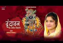 वृन्दावन के बांके बिहारी हम दर तेरे आये है लिरिक्स