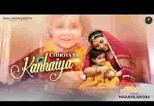 छोटा सा कन्हैया देखो पलने में झूले रे लिरिक्स छोटा सा कन्हैया देखो पलने में झूले रे लिरिक्स