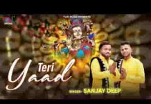 तेरी याद कन्हैया बड़ा रुलाती है भजन लिरिक्स