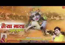 गैया माता तुम्हे पुकारे कहाँ छुपे हो श्याम लिरिक्स