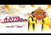 आयो है जन्मदिन खाटू के प्यारे बाबा श्याम को लिरिक्स आयो है जन्मदिन खाटू के प्यारे बाबा श्याम को लिरिक्स