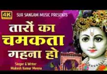 कलयुग के तुम अवतारी हो भक्तों के संकट हारी हो लिरिक्स कलयुग के तुम अवतारी हो भक्तों के संकट हारी हो लिरिक्स