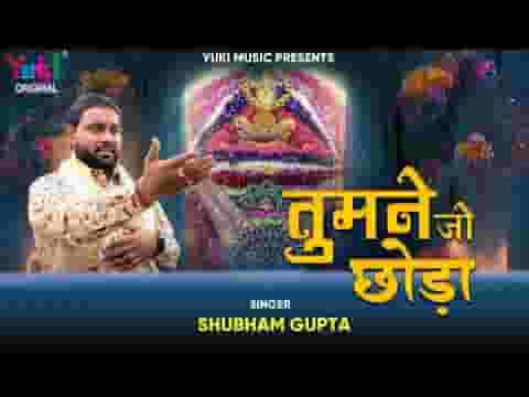 तुमने जो छोड़ा तो किधर जाऊँगा श्याम भजन लिरिक्स