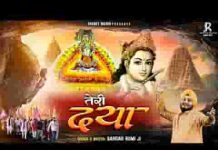 तेरी कृपा का तलबगार हूँ मैं भजन लिरिक्स